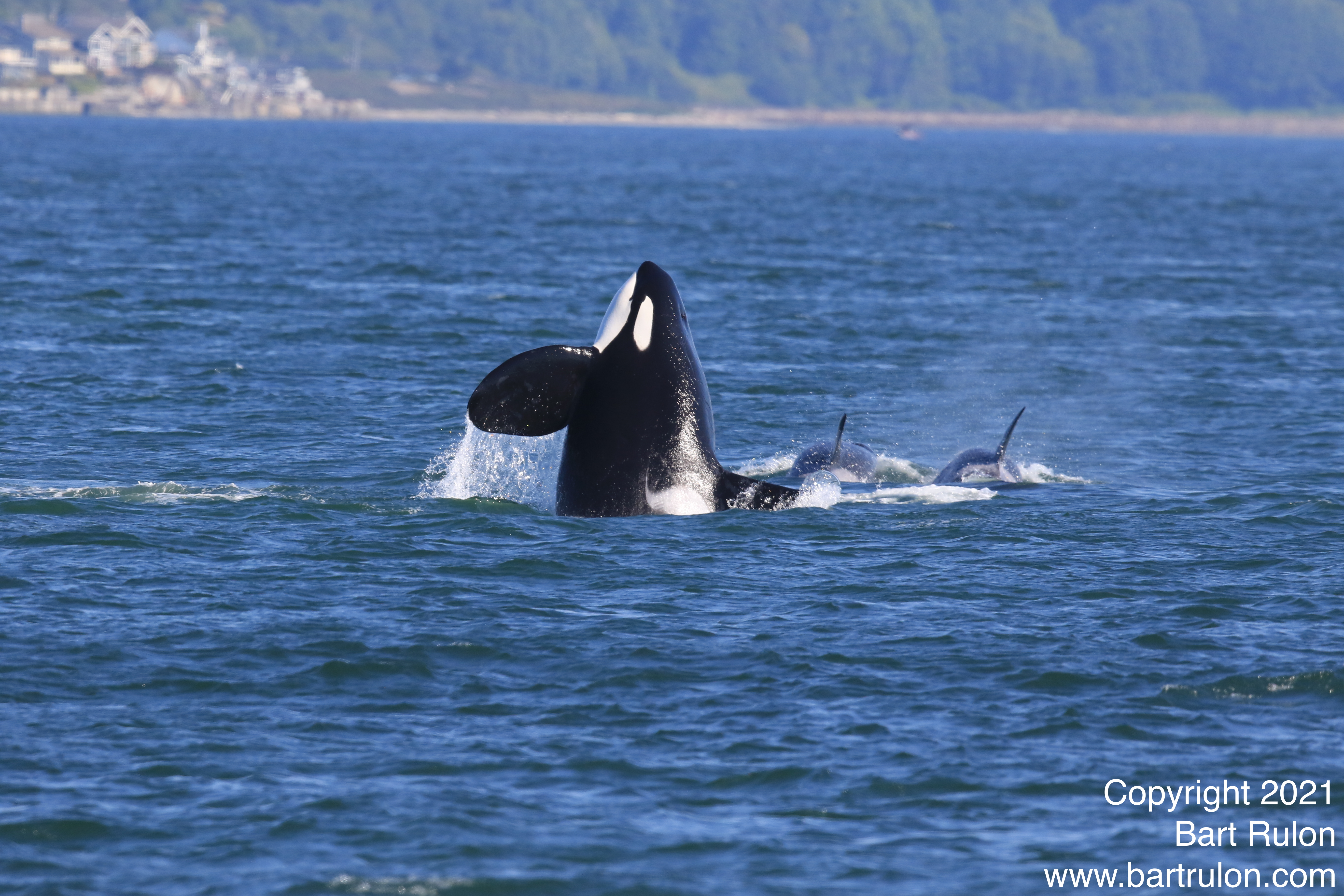 5672D641-A9C3-4283-9619-18982289FF48_1_201_a