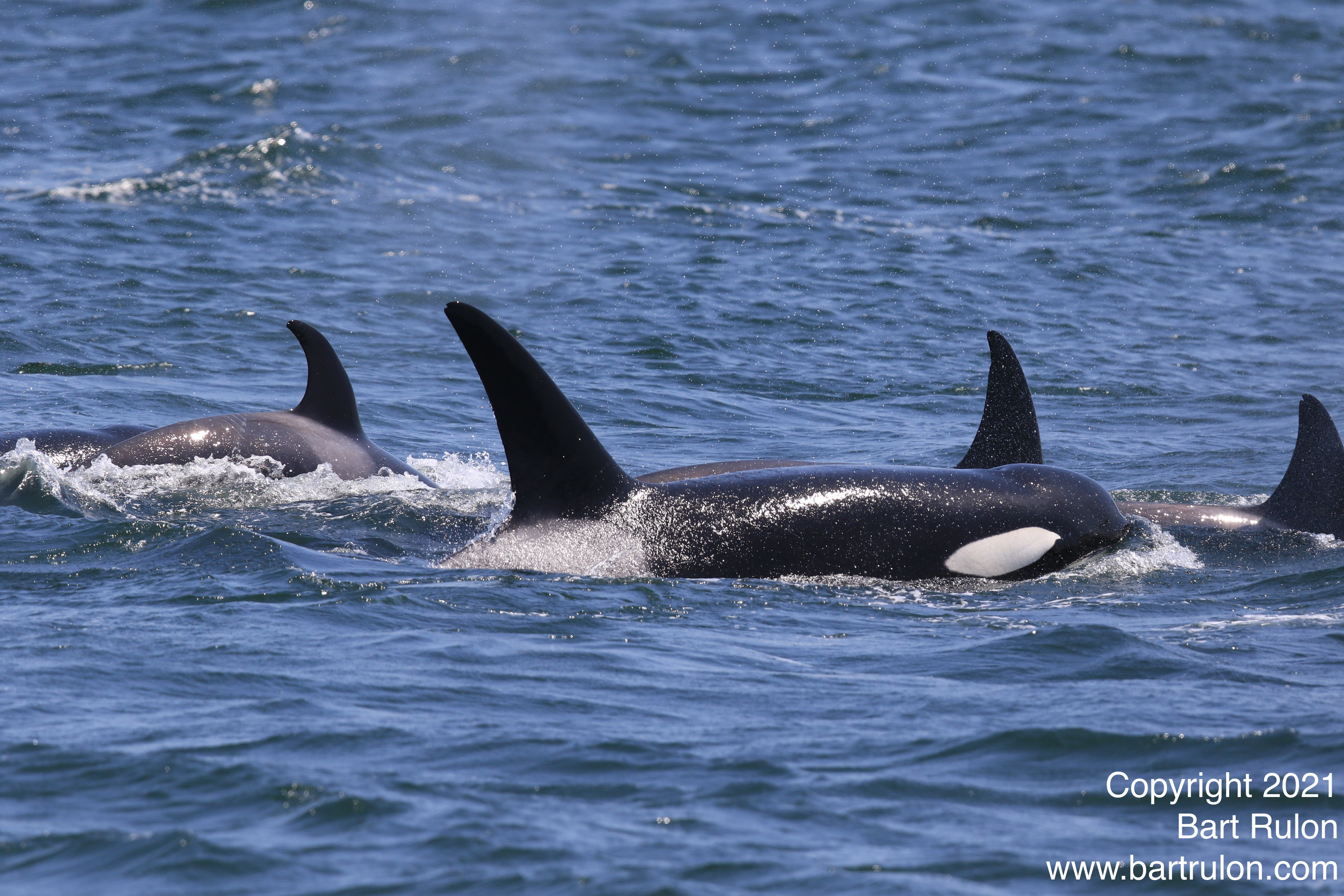 78024329-300C-4C1F-82E3-01AD5653DA86_1_201_a