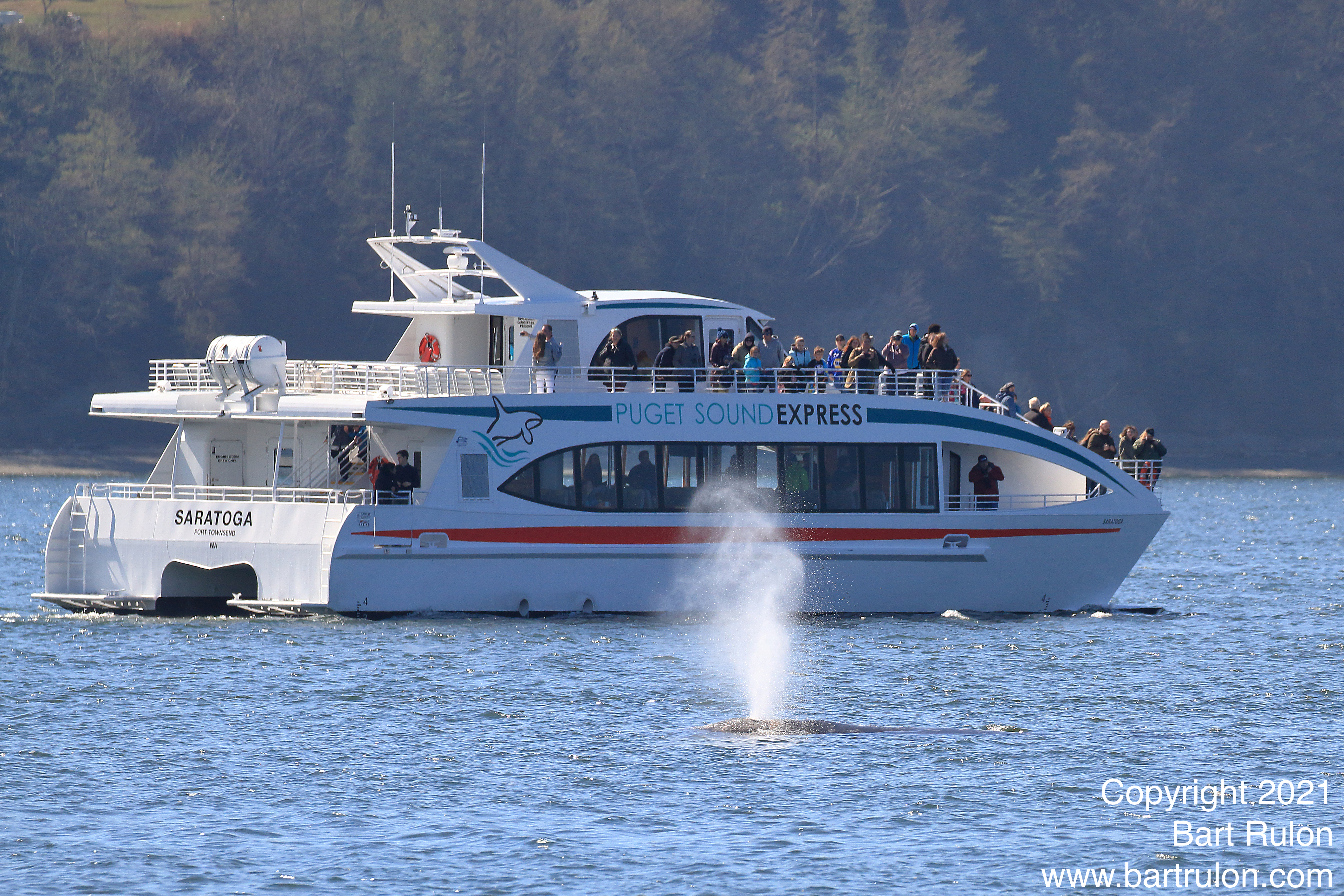 E6F9B5B4-AB14-4144-99CF-8CDCEDD62624_1_201_a