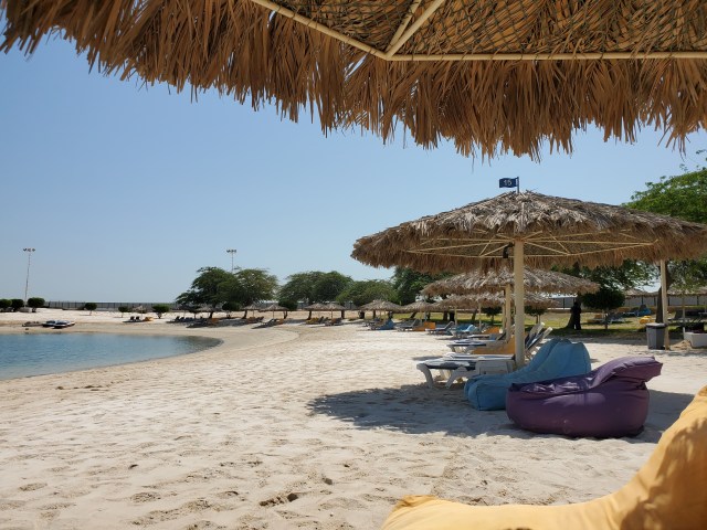 FEB401C3-D29E-4935-AA03-8E10C3276F45