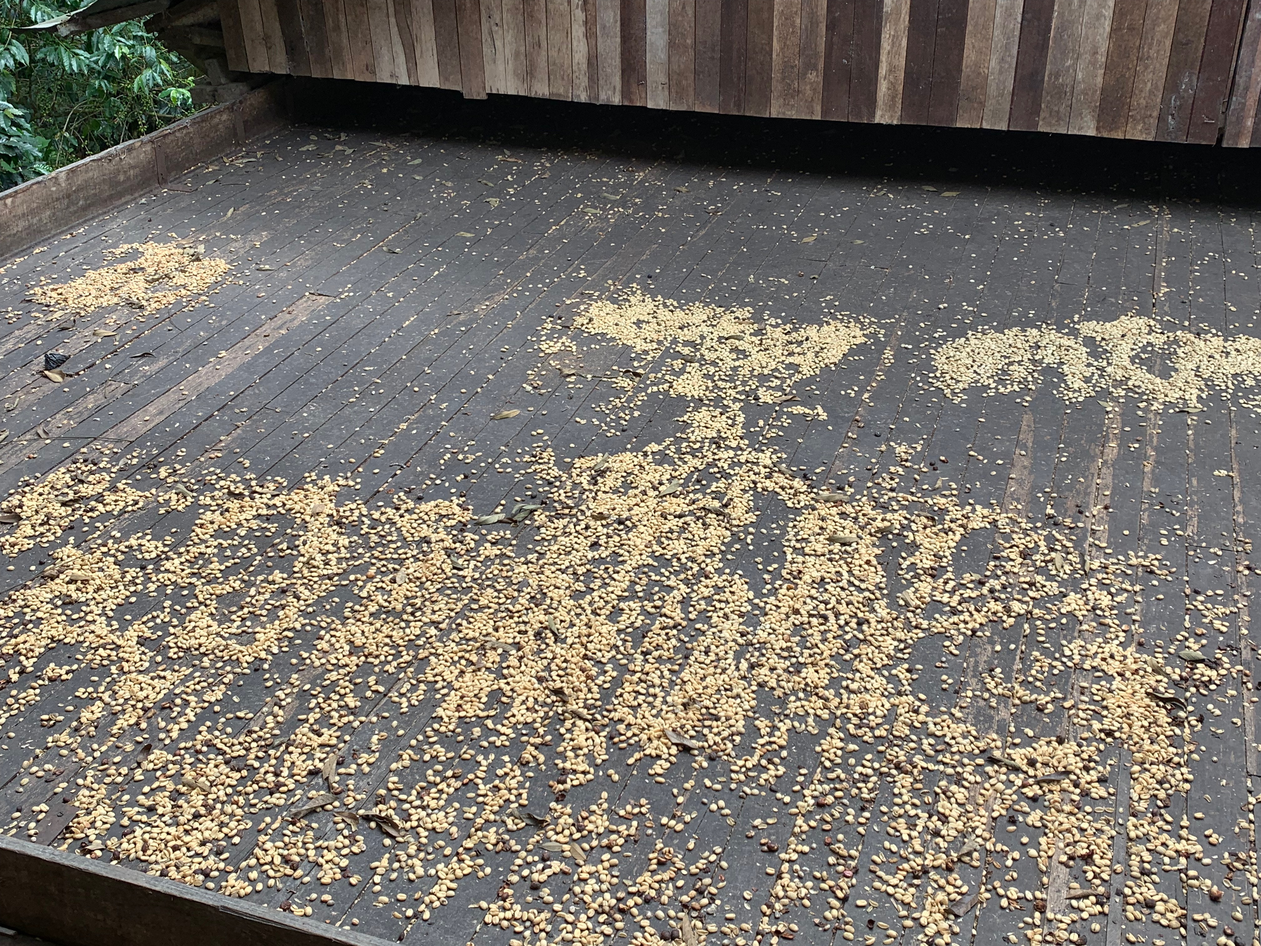 1936C828-0316-4667-BB09-0B108E7EF928