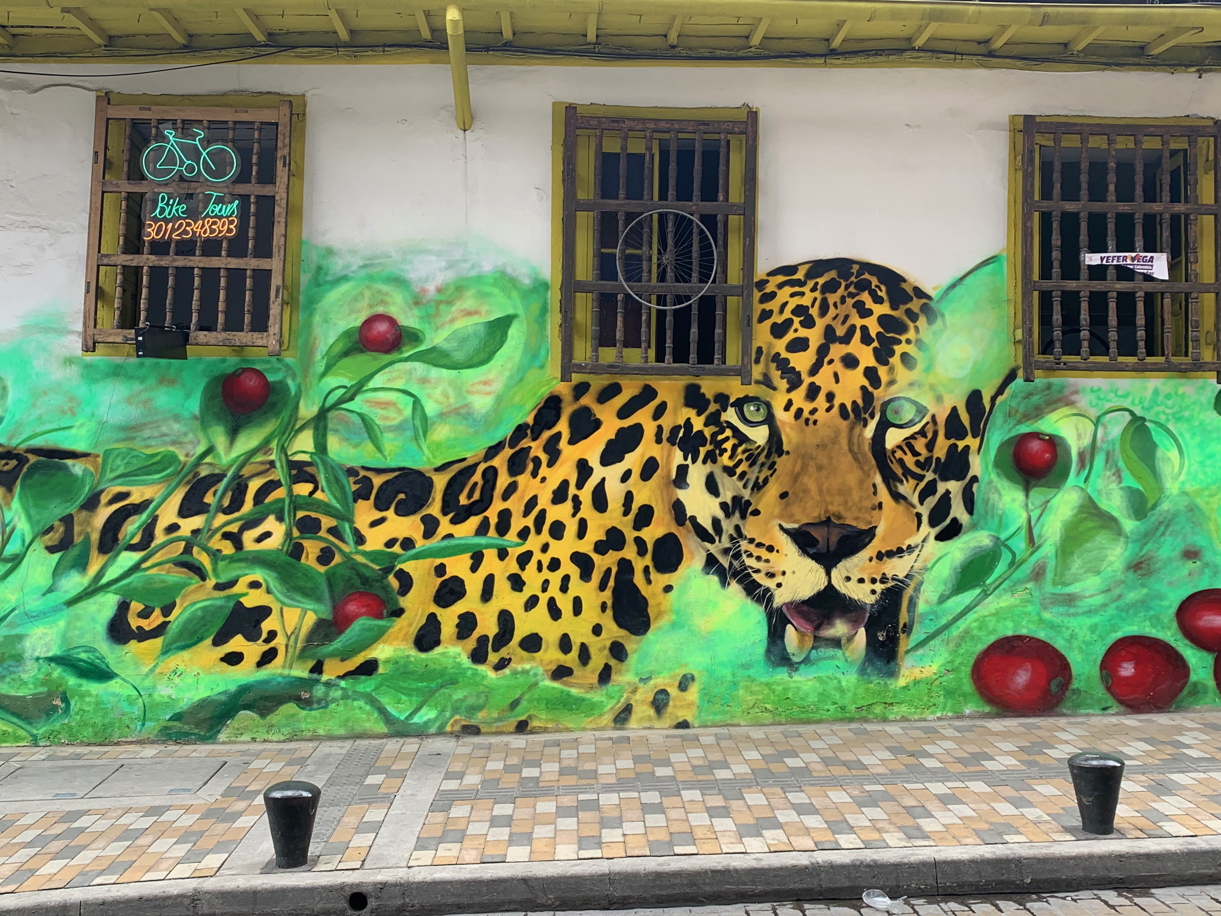 27CBE044-01F6-477D-B8F1-CCC55E023CAD