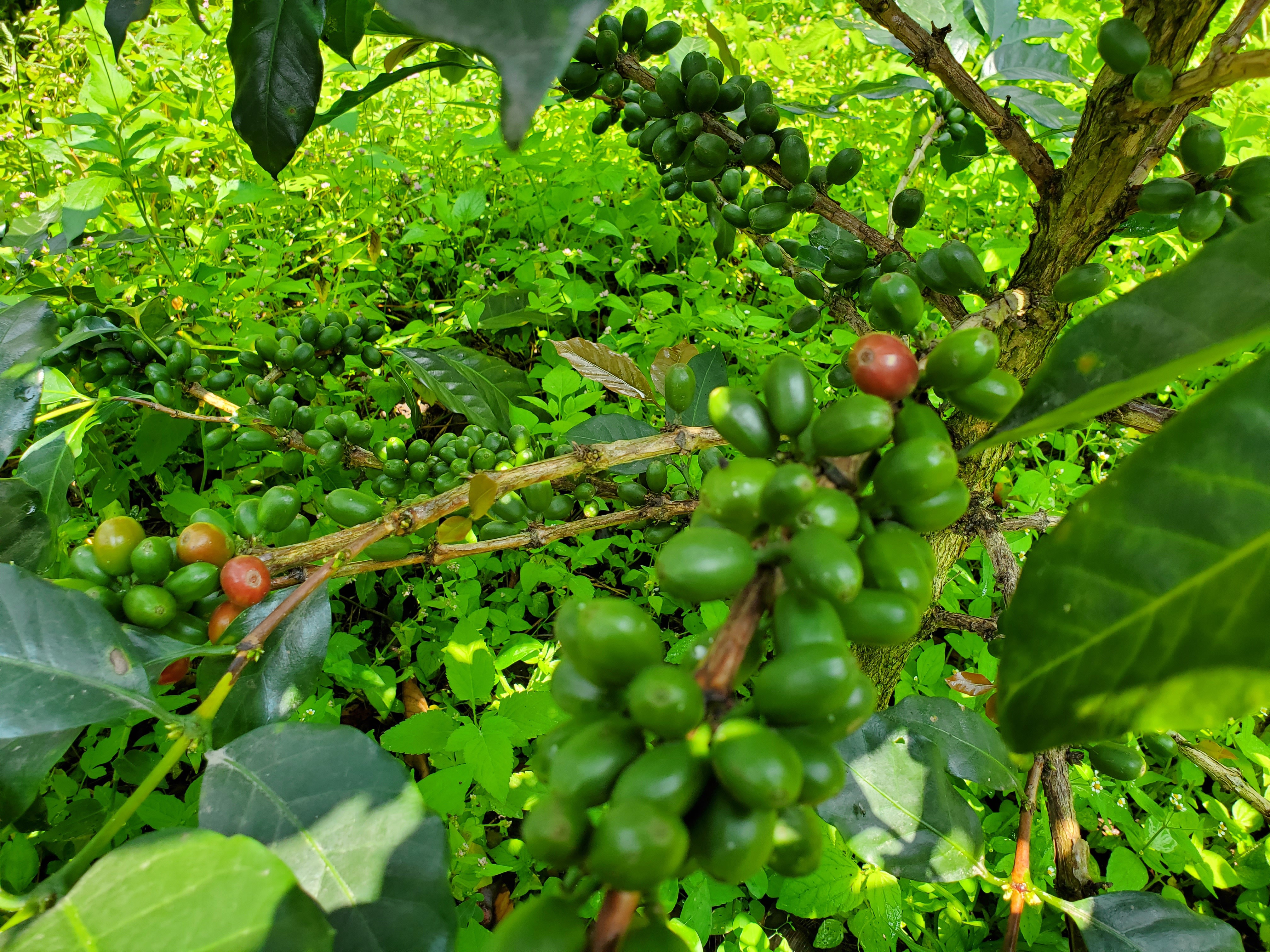 E1E7B8EF-3BEE-4436-A5CC-E054DDB1360E