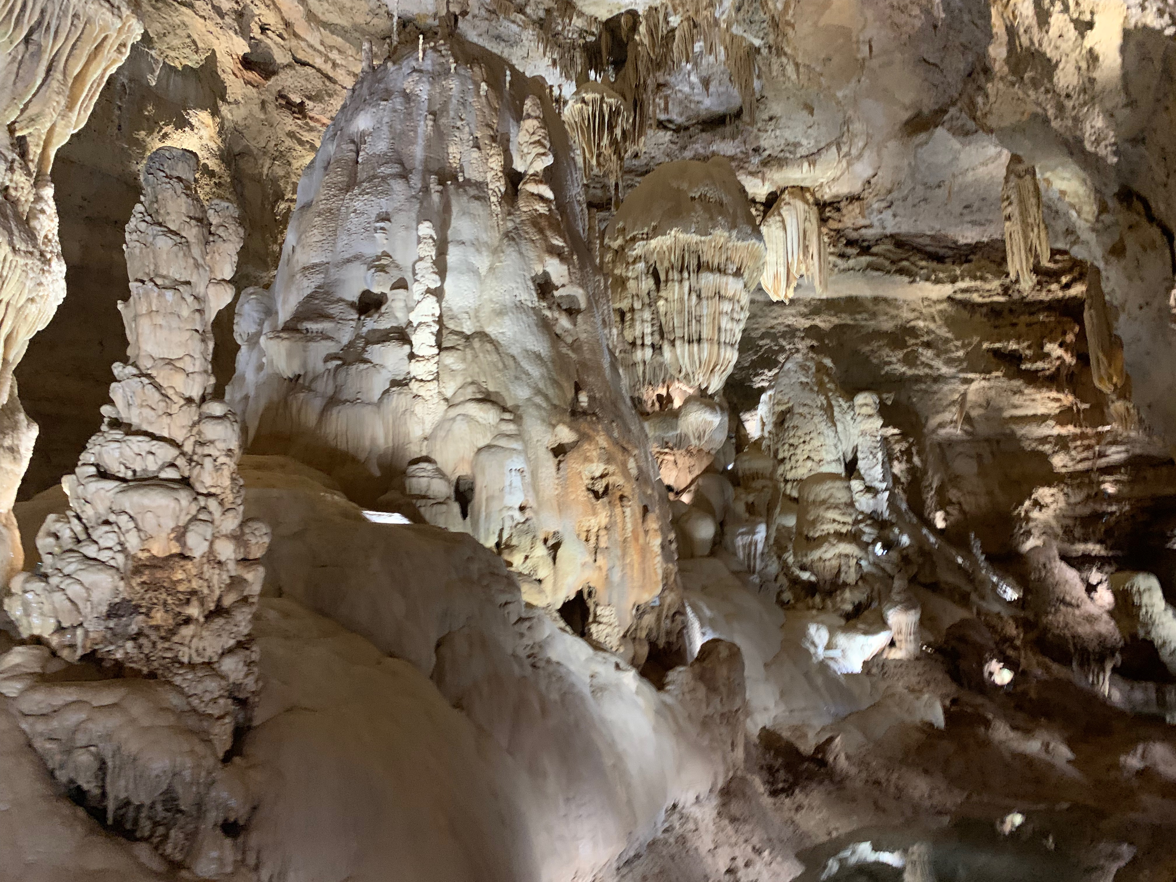 F3D2963B-27F7-4FE7-9A60-374B66EA3E90