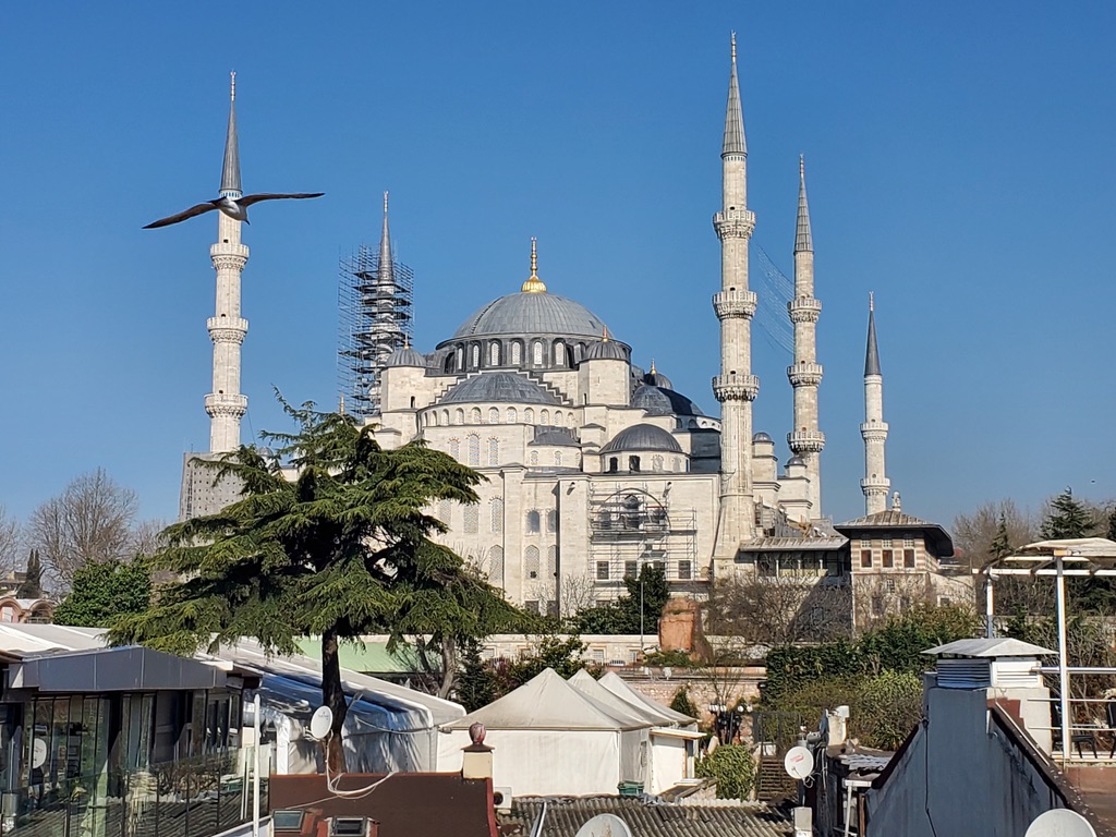 08EB4162-E539-45BD-A11A-139485B27FBB_1_105_c