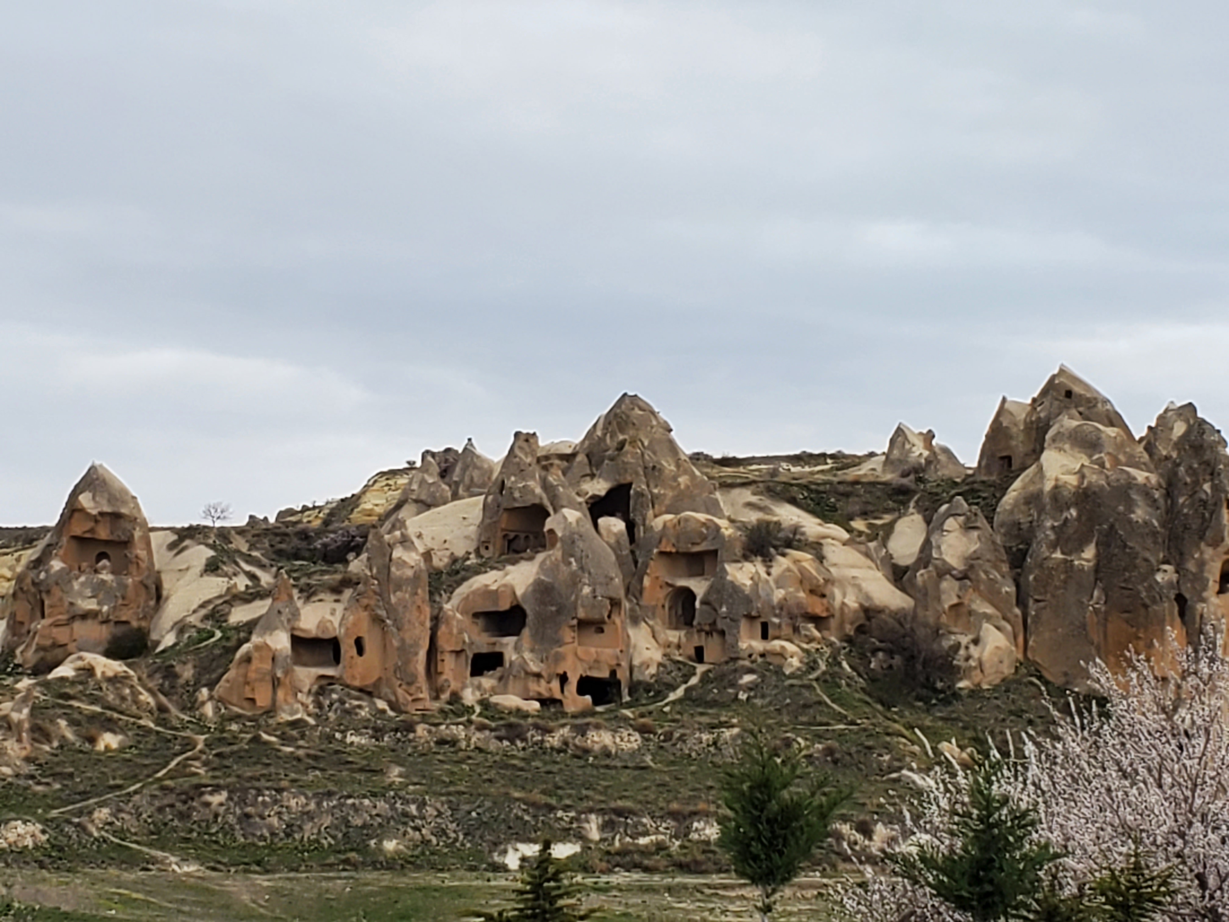 12C8B904-9588-4377-AAB7-87553F5A12DE