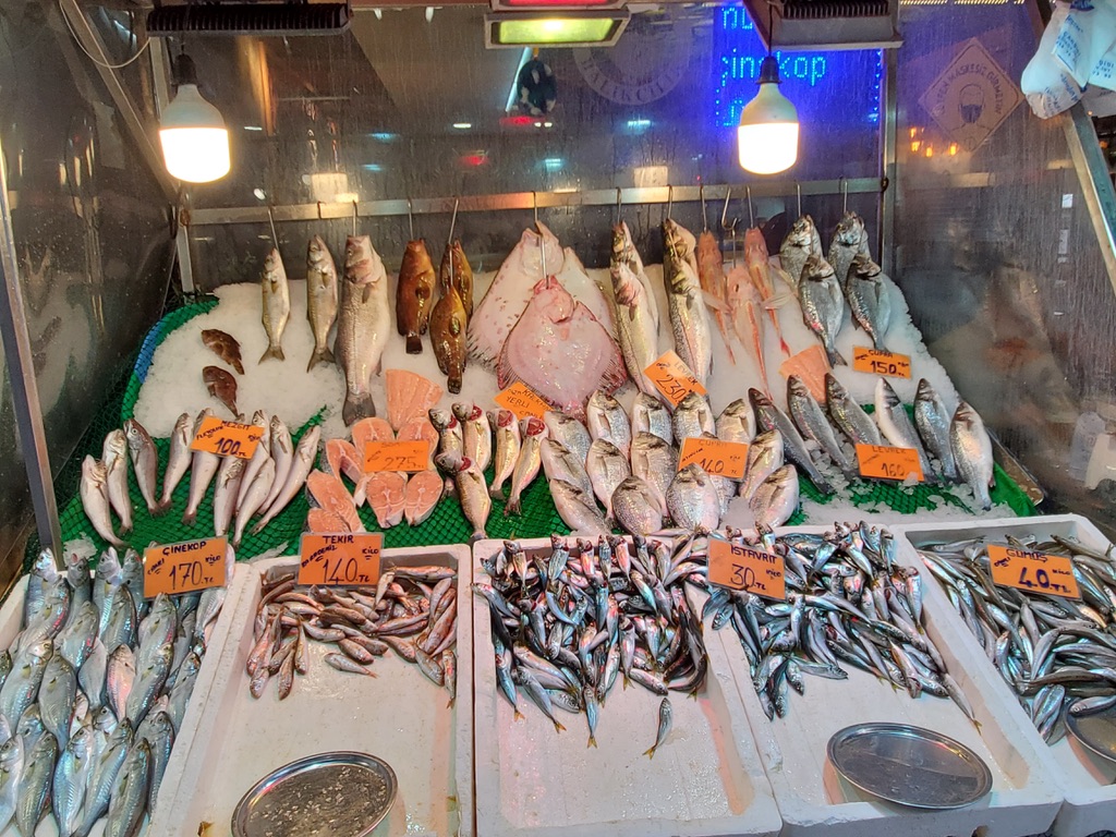 1D58820C-C4F6-4B4C-BD3D-0DD2C57B7C82_1_105_c