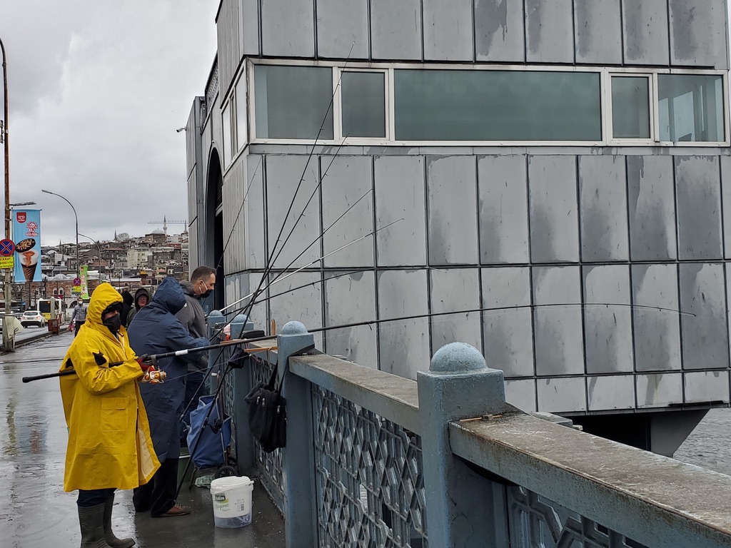 43D624C2-B1BD-4D89-956E-238378BE5E5D_1_105_c