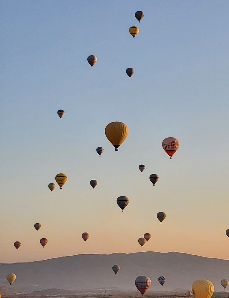 543E0CCD-626A-43F4-9081-1337A037A549_1_105_c