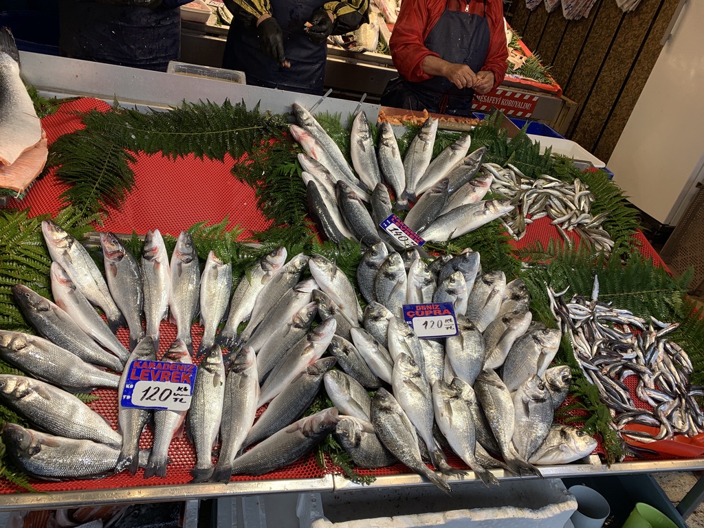 63CA68C9-7185-41C8-86A7-16A90E99DBC3_1_105_c