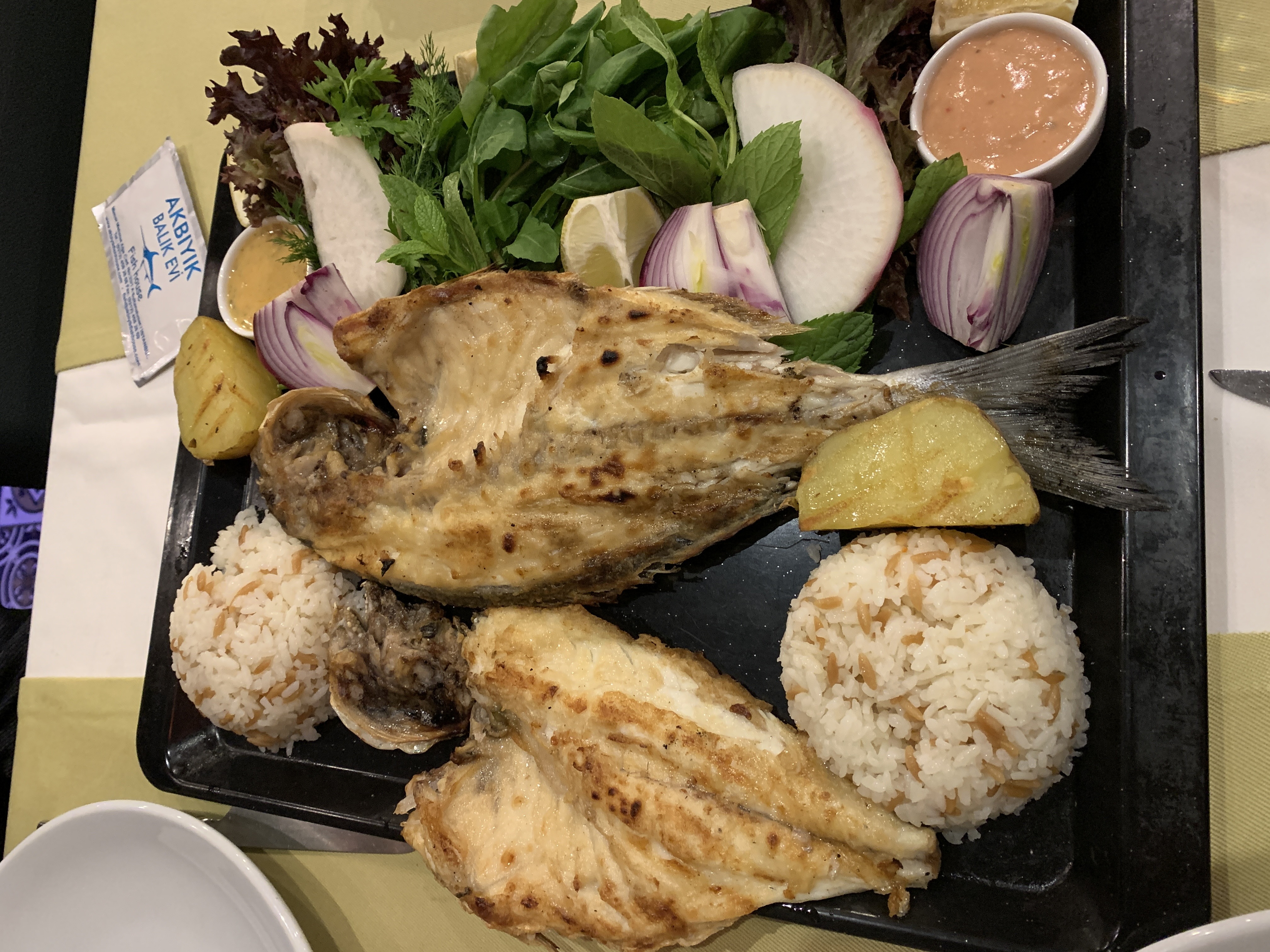 697C6099-CBB1-497F-A586-088D9CD100C0_1_201_a