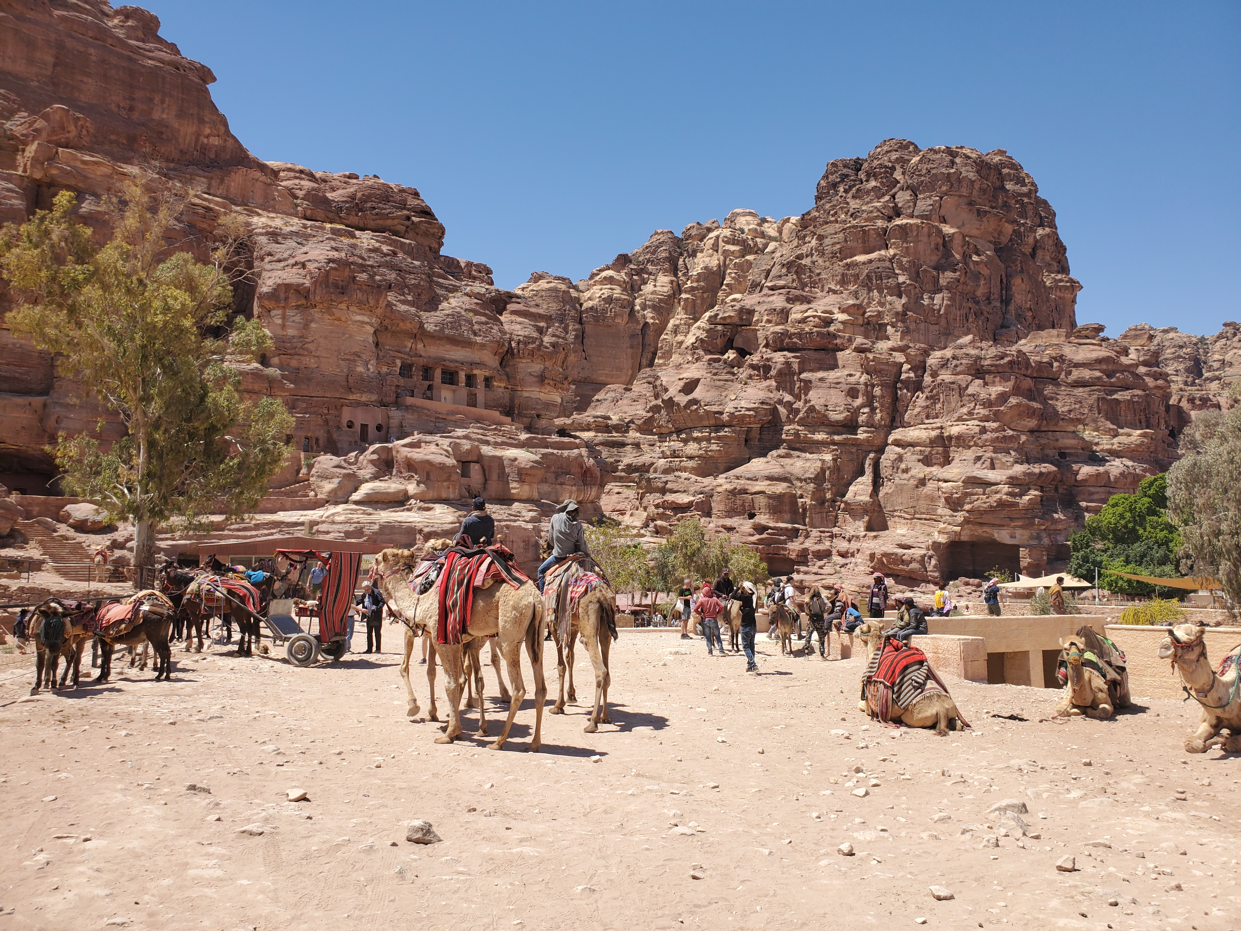 7D3E1B69-0515-41A2-A8A4-F2AF063E3F33