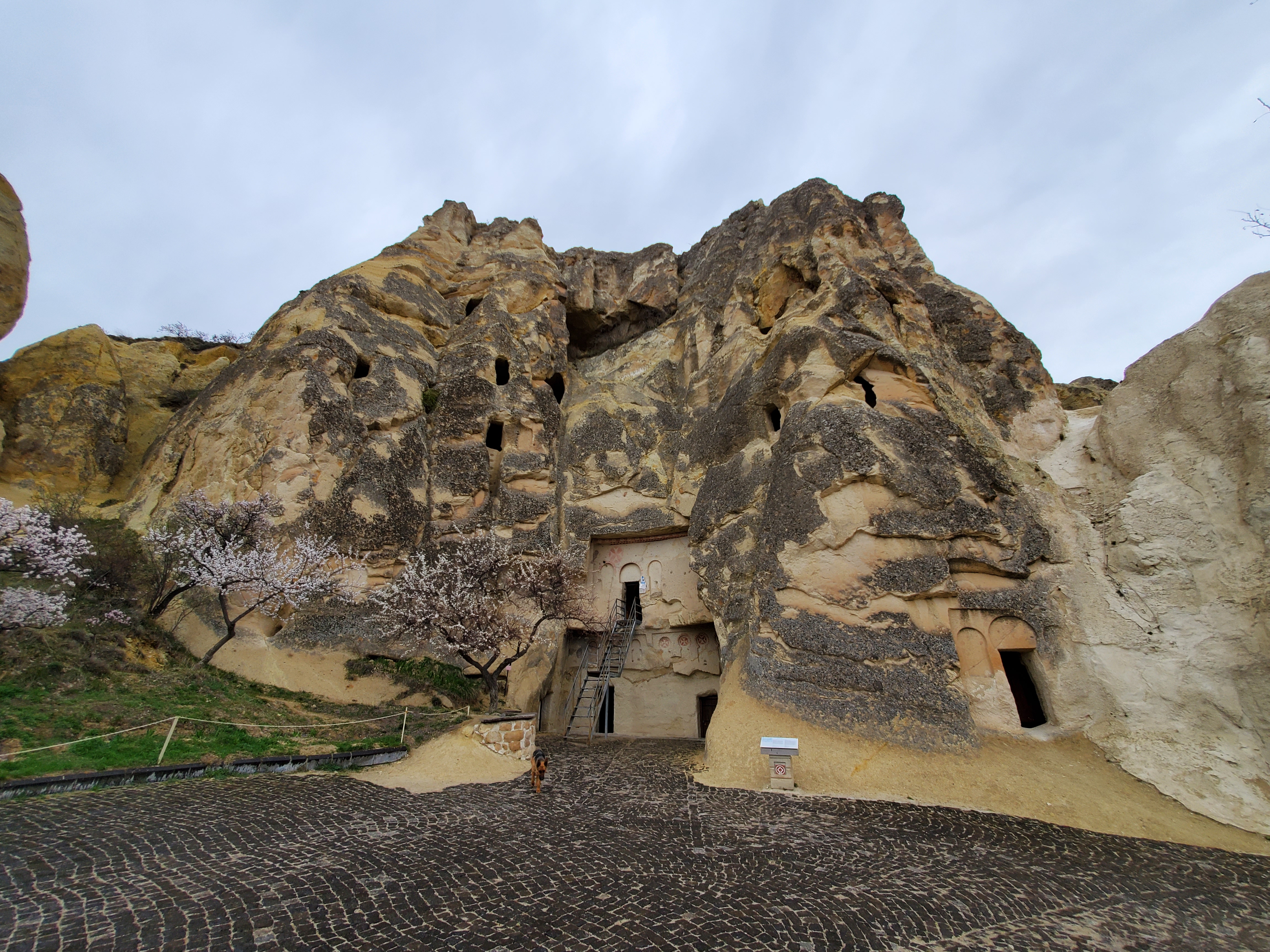 8D8EE6A7-A494-416F-8FAD-60C10FB26425