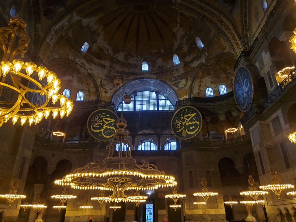 8DE8ED21-2224-4DA7-B1B2-E2D85D6ED5E4_1_105_c