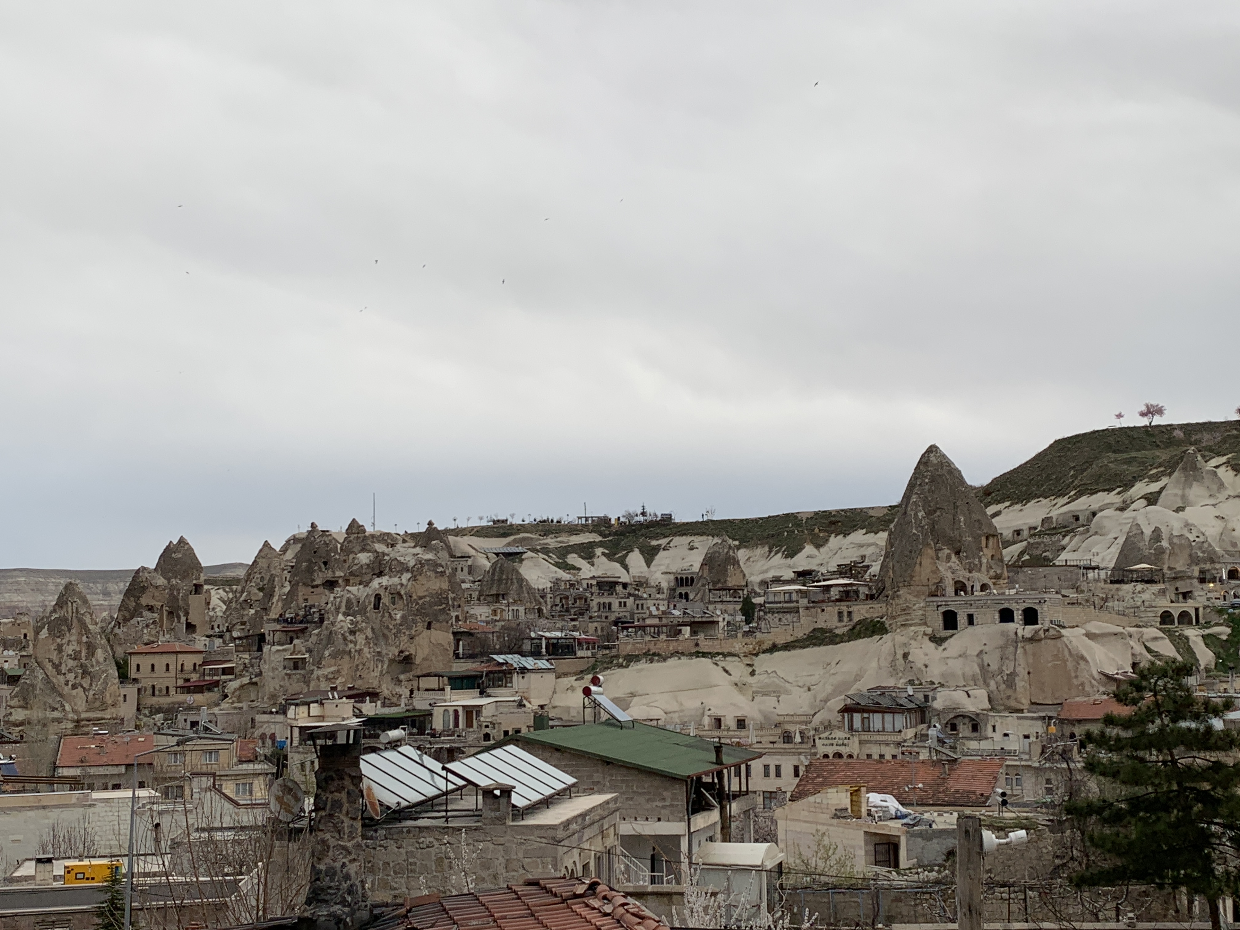 9321269F-62CE-4F0B-82DA-CD18A02FE9AC