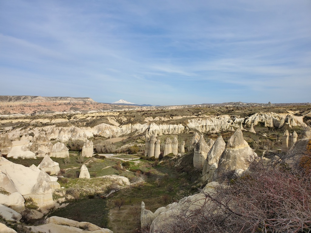 9AF12D9E-B6C2-4126-ACDE-9557F8B9424B_1_105_c