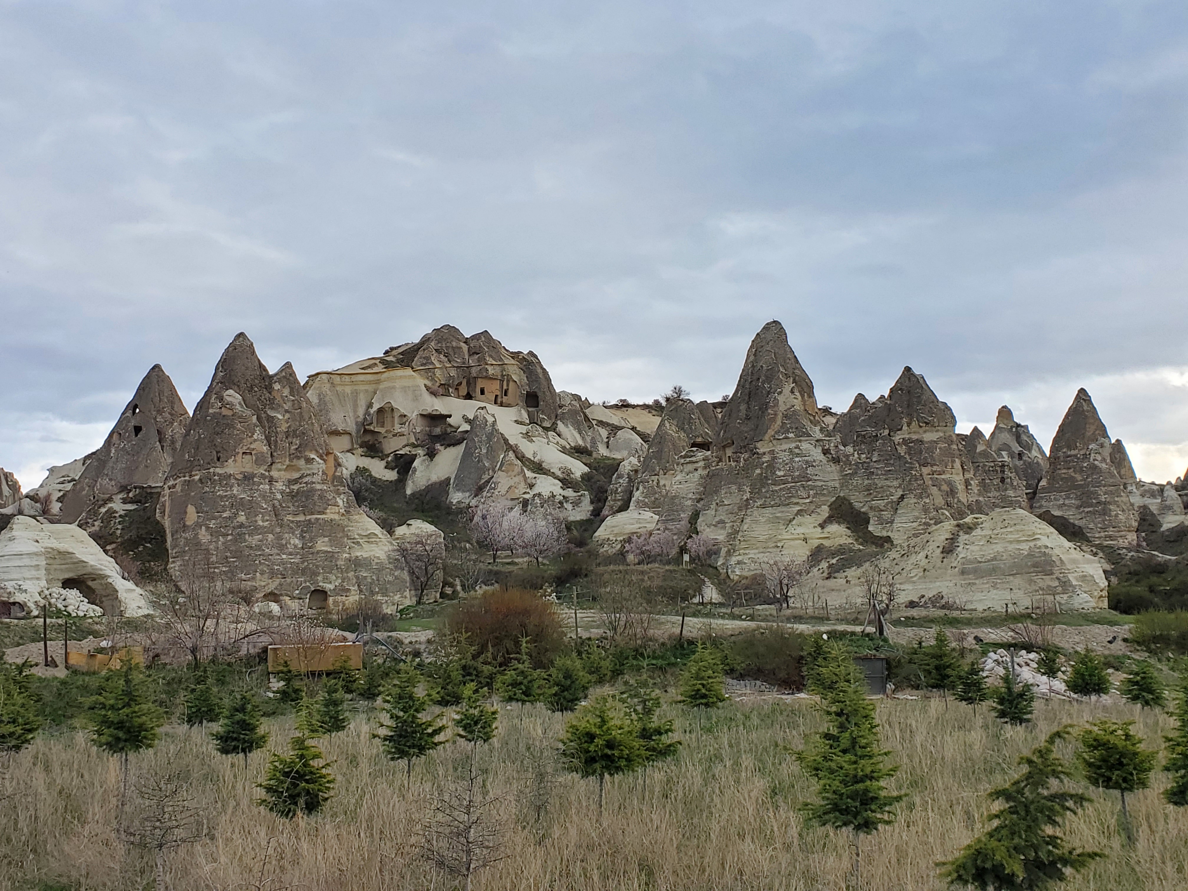 ABBA45D4-9DEA-4239-AA70-CB269A23273E