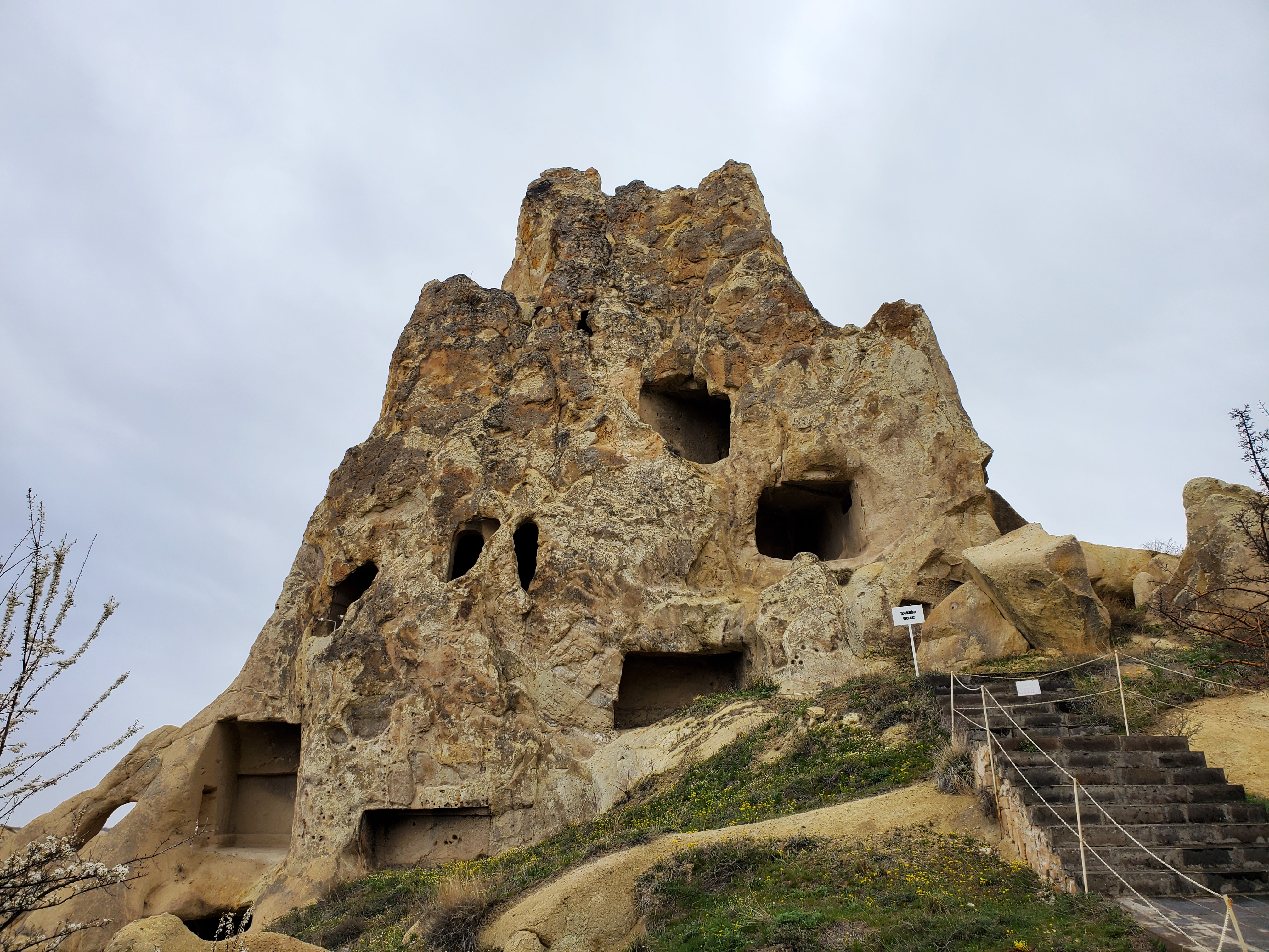 B86E4114-E83C-4656-A171-2362412B2D58