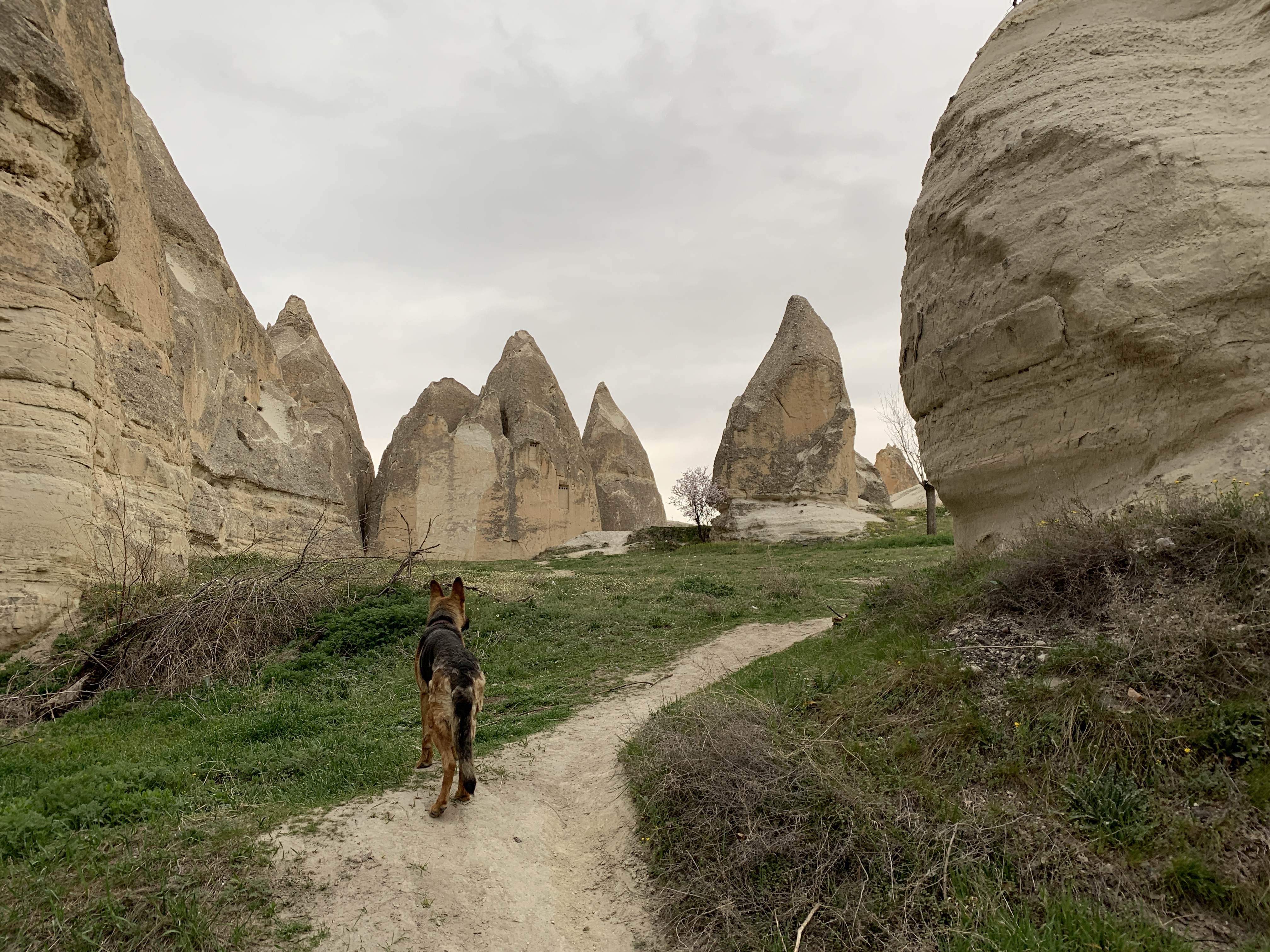 B934065A-4404-4A52-B47D-DCF6F50C3E2E