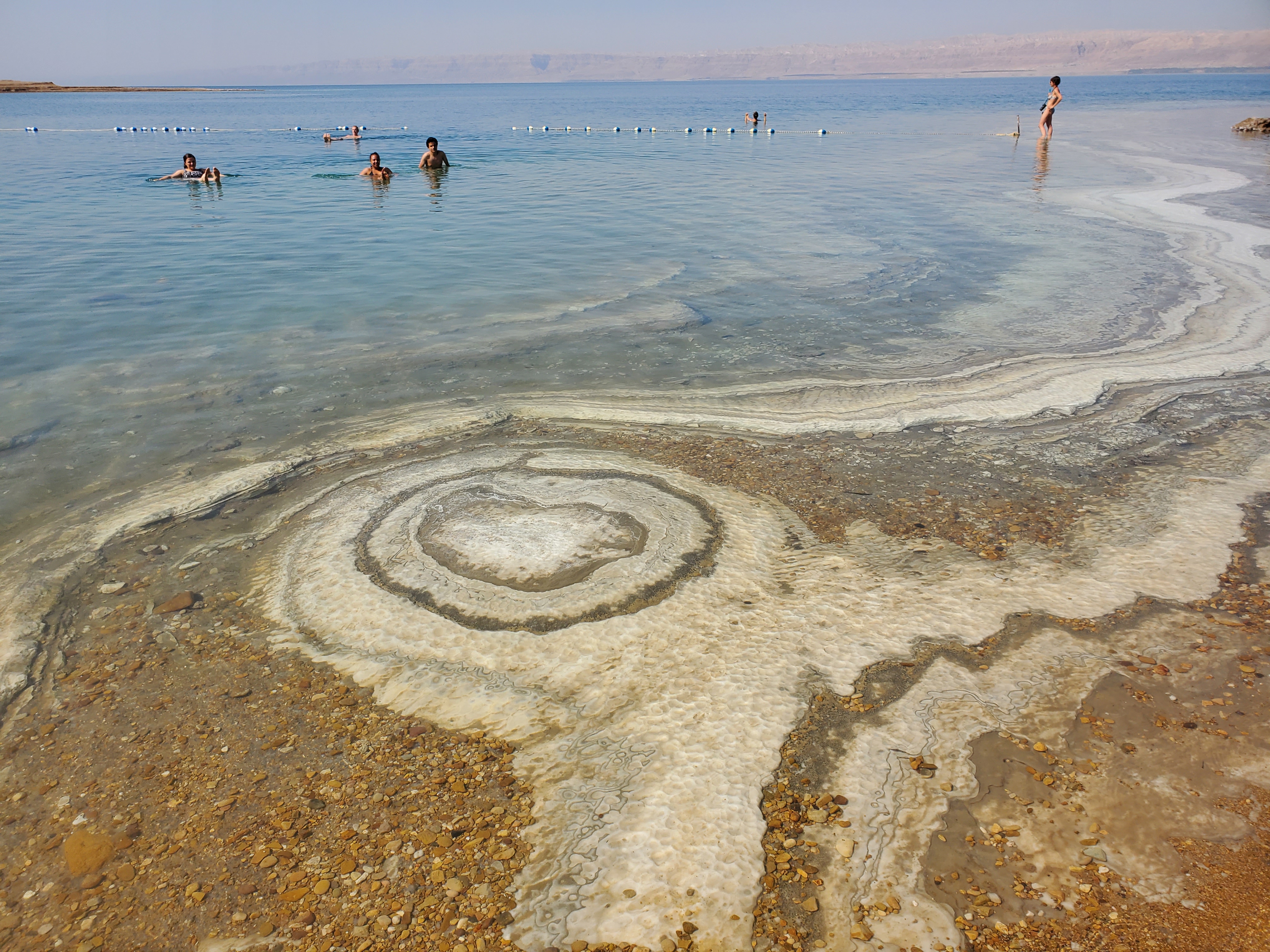 C2CC24AC-EDB9-4968-88AF-5398F28EBEE1