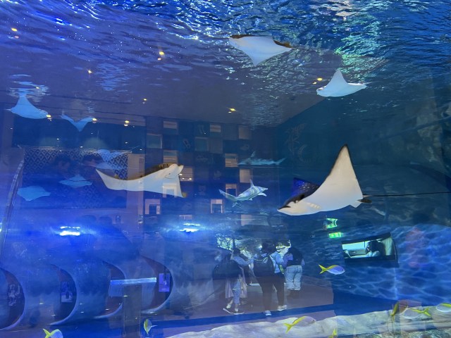 58C7A322-2823-4C52-A0F1-AB776F93CE2D