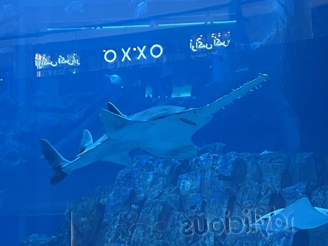 A4EA0856-6625-404E-B5B4-B291FE261C38