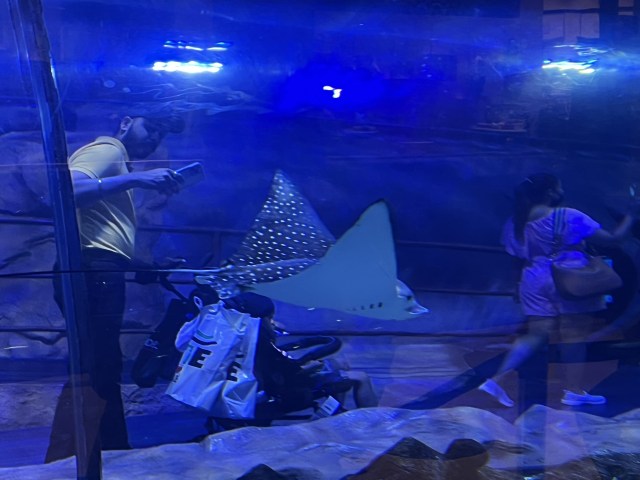 CBD1943B-D24B-4EE3-B265-9C231973FA0F