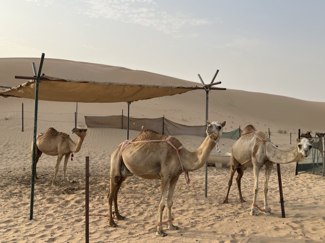 E323404E-52F0-4857-9A7C-31CE58E931CE