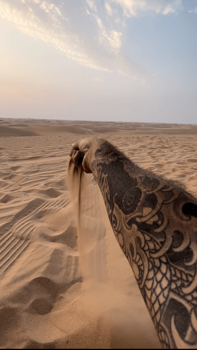 F840CC4C-9E78-443D-96D6-E2175050E474